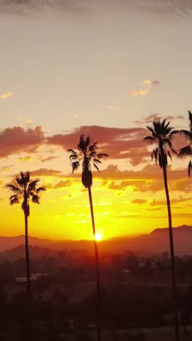 Aerial shot of dramatic clouds and the setting sun behind a row of palm trees. Los Angeles California. Vertical Video.