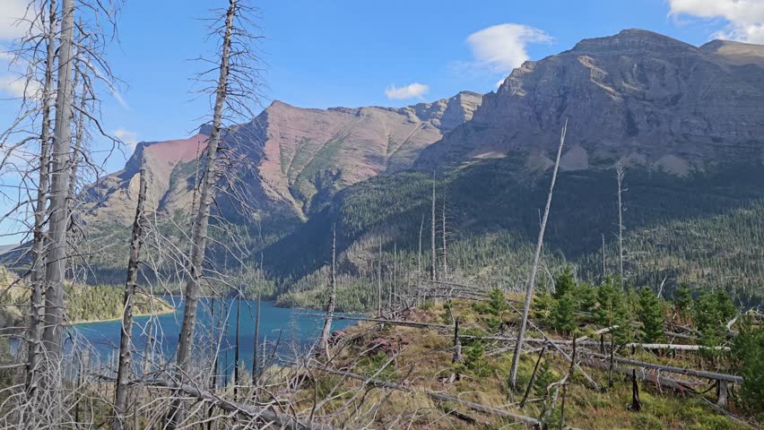 Panoramic, scenic view of Glacier National Park. Lake, mountains and dry trees. View from a moving car. Glacier National Park, Montana, United States