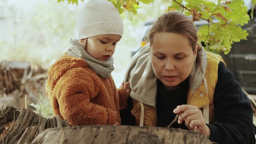A mother and her child joyfully explore nature, discovering colorful leaves and interesting wood pieces