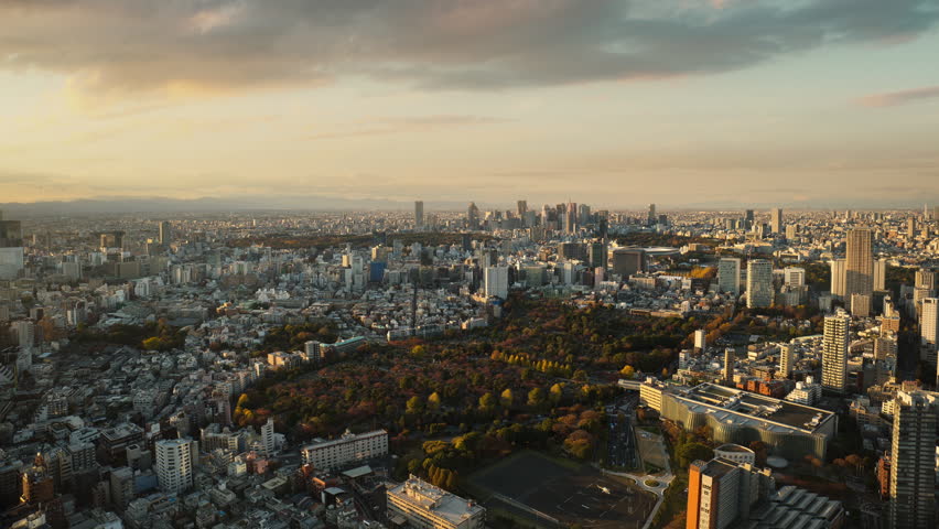tokyo city cityscape skyline timelapse day to night aerial view,time lapse of business shinjuku district ward from high point of view at sunset