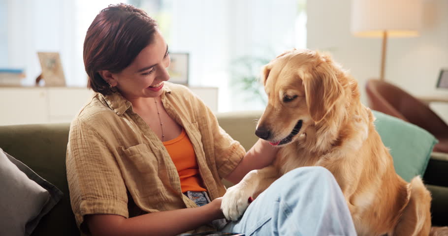 Home, girl and pet dog on sofa for animal care, connection or domestic companion. Loyalty, happy owner and golden retriever in living room with stroke, playing and scratch for bonding, relax and love