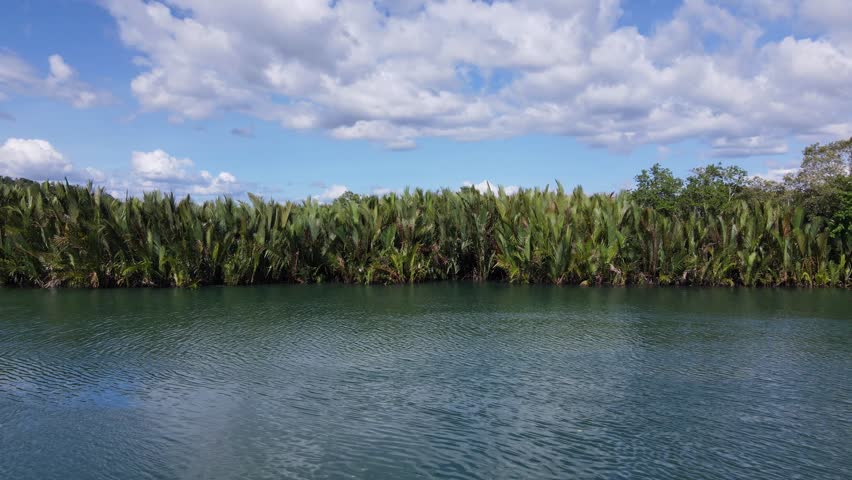 scenic drone view of the tropical island River, Abatan River, Bohol, Philippines