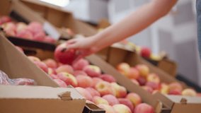 Close-up of woman picking red apple from a pile of apples in a box, then dropping it back into the display, focus on hand with black nails interacting with fresh produce at grocery store - Powered by Shutterstock - Get 15% off with code: PIKWIZARD15