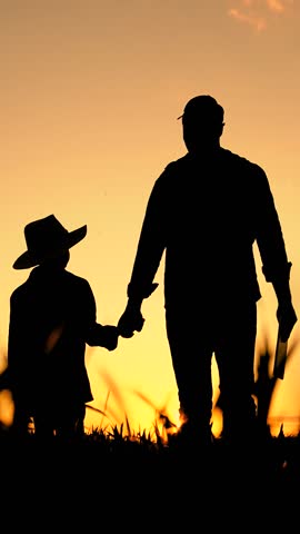 Family farming business. Dad child son hold hands in field. Father, child walk on field, sky sunset. Kid boy, dad go hand in hand, field corn sprouts. Agricultural industry. Growing corn, organic food