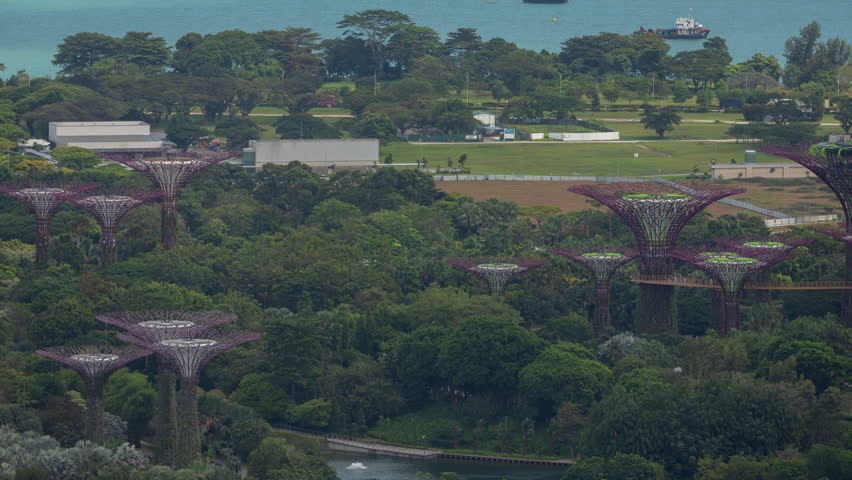 timelapse zoomed into the gardens by the bay in singapore 