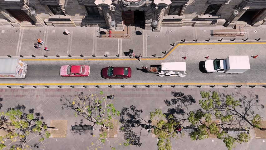 Rider on a traditional carriage, Guadalajara, Mexico