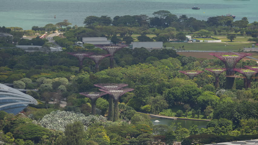 timelapse zoomed into the gardens by the bay in singapore 