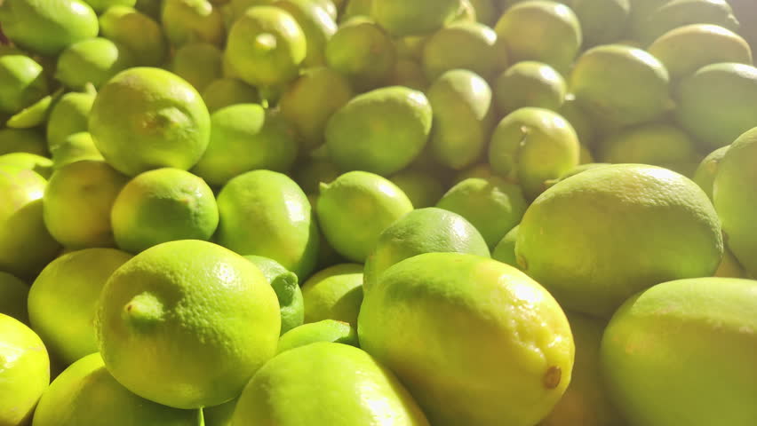 Glorious Pile of Fresh Lemons in Real Sunlight Footage.