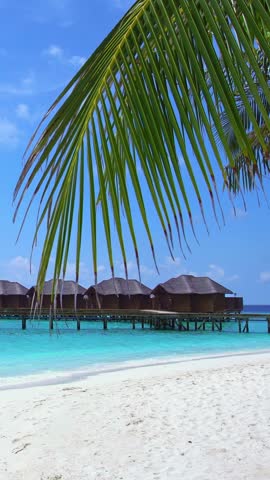 Tropical travel destination with pristine beach and water bungalows through palm tree leaves at island. Vertical footage