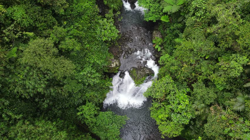 Aerial scenery of hidden and beautifu waterfall in the middle of forest