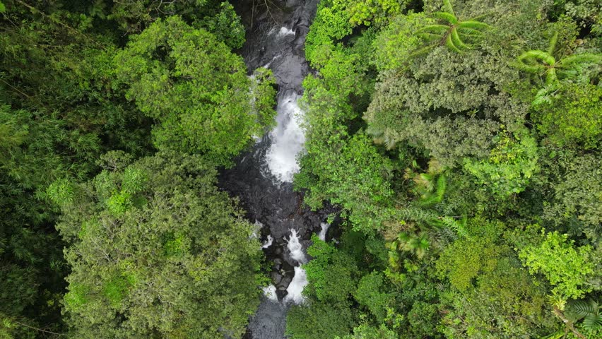 Aerial scenery of hidden and beautifu waterfall in the middle of forest