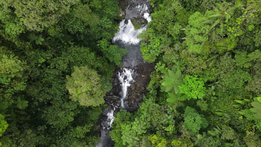 Aerial scenery of hidden and beautifu waterfall in the middle of forest
