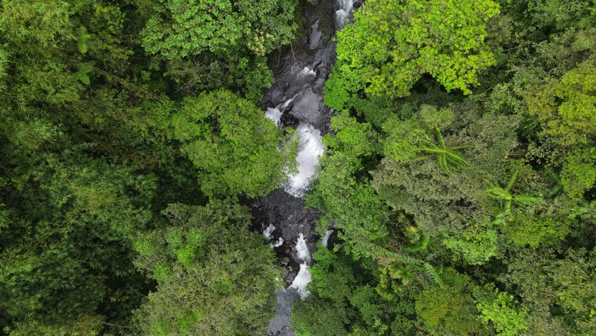 Aerial scenery of hidden and beautifu waterfall in the middle of forest