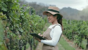 Smart vineyard system with asian winegrower working with graphic display 4k footage - Powered by Shutterstock - Get 15% off with code: PIKWIZARD15