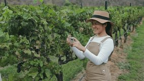 Smart vineyard system with asian winegrower working with mobile augmented reality 4k footage - Powered by Shutterstock - Get 15% off with code: PIKWIZARD15