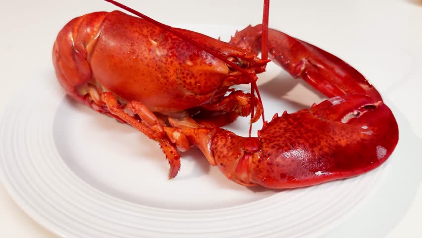 Indulgent Fresh Lobster on a Pristine White Plate, Perfect for a Seafood Dinner