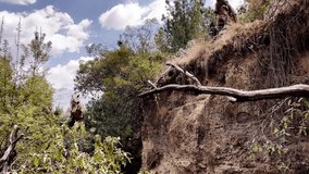 A dinosaur standing amidst trees with rugged terrain and cloudy skies in the background - Powered by Shutterstock - Get 15% off with code: PIKWIZARD15