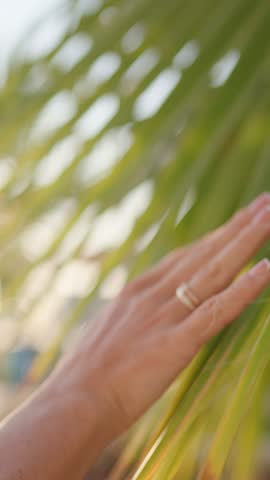 Summer vacation in luxury resort, woman walking in tropical garden, stroking palms. Closeup view of female hand on green leaves, vertical video, slow motion, relaxed mood, enjoy wind and sunshine