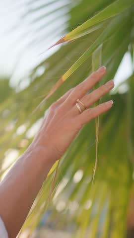 Traveling to tropical garden, closeup view of female hand stroking palm leaves on island. Relaxation and meditation in nature, enjoy calmness and unity with wilderness, summer rest in luxury resort