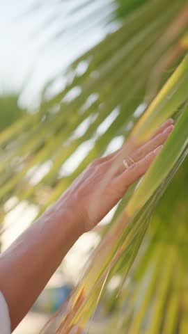 Traveling to tropical garden, closeup view of female hand stroking palm leaves on island. Relaxation and meditation in nature, enjoy calmness and unity with wilderness, summer rest in luxury resort