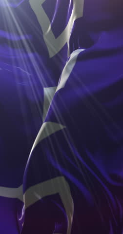 Flag of the Iroquois Confederacy, Hiawatha Belt. Loop. 4K Vertical