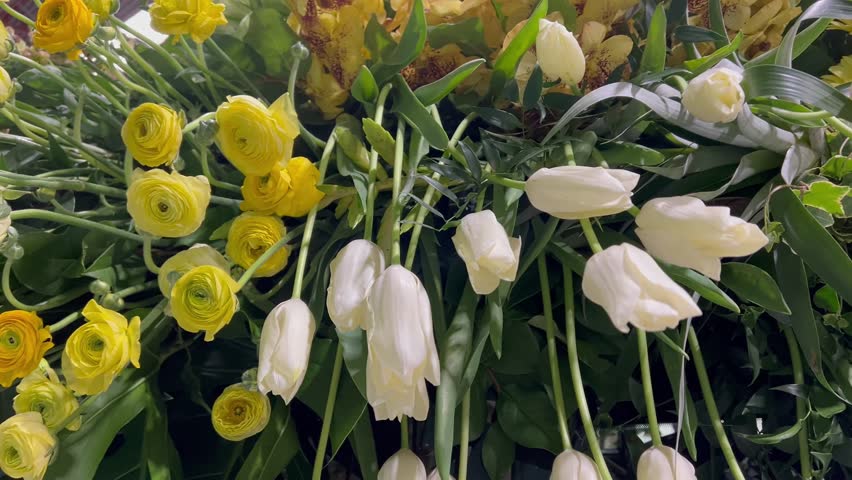 Yellow ranunculus and white tulips in bouquet floral composition
