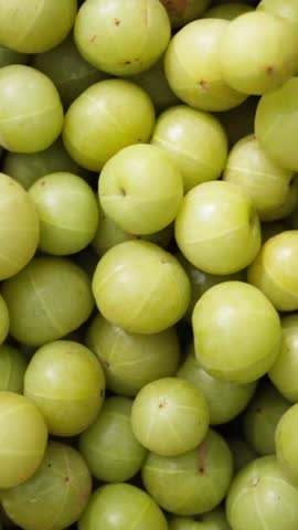 Gooseberry, Gooseberries, Ripe Organic Green berries, Gooseberries, Fresh Gooseberry, (Ribes uva-crispa) 