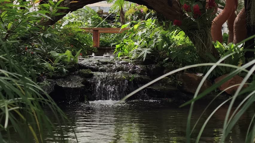 Water garden design in a restaurant	