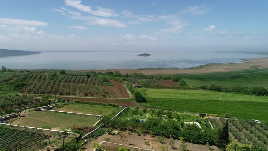 Lake Landscape View Green Town