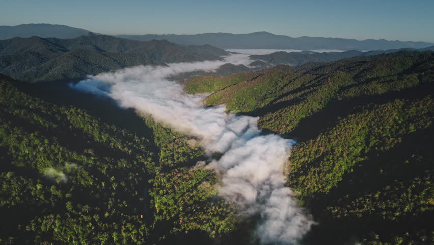 Aerial drone view of morning mist flowing through forested valley between mountain ranges in Chiang Mai Province, Thailand, creating a breathtaking natural landscape