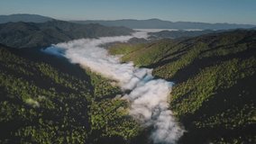 Aerial drone view of morning mist flowing through forested valley between mountain ranges in Chiang Mai Province, Thailand, creating a breathtaking natural landscape - Powered by Shutterstock - Get 15% off with code: PIKWIZARD15