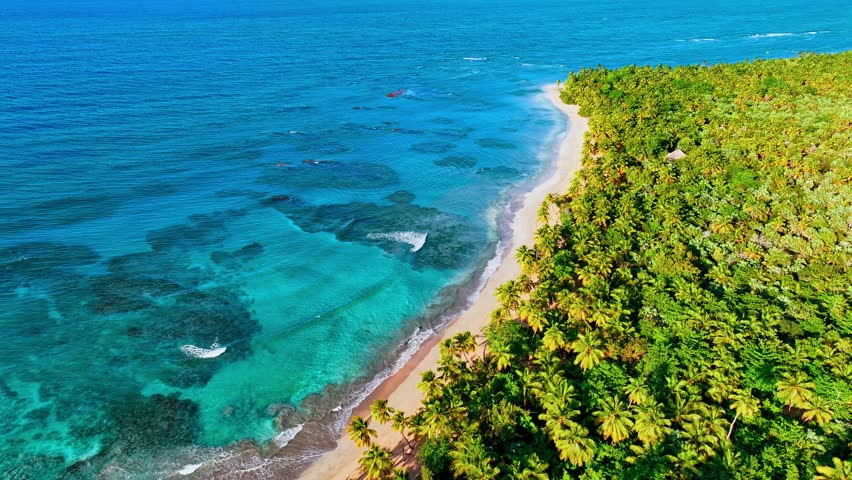 Seaside Brazilian beach paradise island. Tropical landscape of sunny summer coast with sea sand and palm trees against sky. Luxury travel and vacation. Exotic beach landscape.