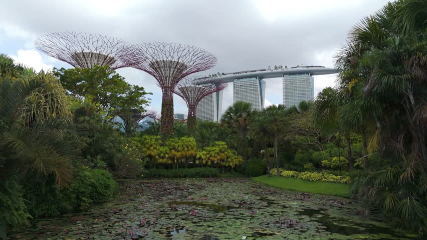 Aerial: Marina Bay Sands and Supertree Grove seen from Water Lily Pond in the Central Region of Singapore, pull out drone shot