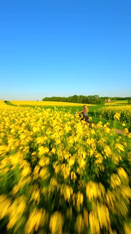 FPV drone shot of woman riding motorcycle through blooming yellow rapeseed fields on a sunny spring day. Scenic countryside landscape.