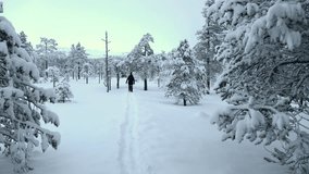 A woman walking away from the camera in deep snow in a snowy forest landscape with mountains in the background. Static wide shot. - Powered by Shutterstock - Get 15% off with code: PIKWIZARD15