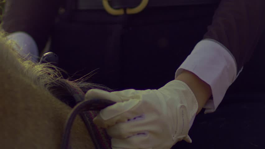 Horse rider holds bridle in hand with white gloves, close up