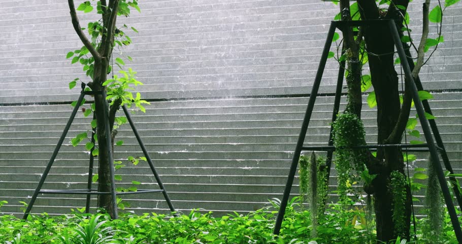 Exploring the lush greenery thriving in an urban park setting illustrating nature