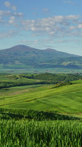 Tuscany landscape at sunset with farm house and hills, vineyard, Italy, zoom in timelapse. Vertical video