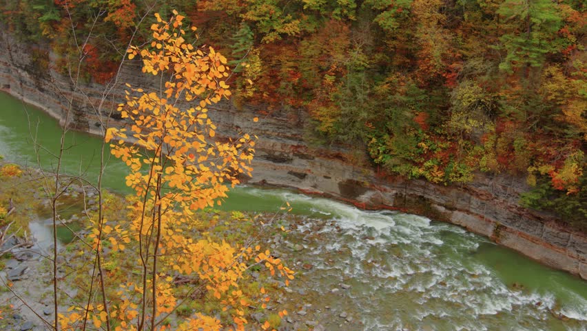 Drone captures a winding creek amidst a palette of fall colors in Letchworth State Park. Trees in full autumn display line the flowing river path in Western New York.