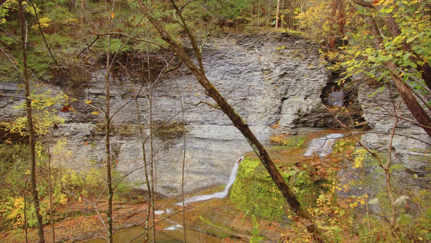 Sweeping 4K aerial-style shot of fall foliage and forest canopy at Buttermilk Falls State Park, Ithaca NY during peak autumn—ideal for showcasing seasonal colors and peaceful nature