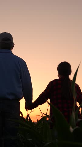 Dad child girl raise hands in field sunrise. Father farmer child raise hands at sunset in corn field. Happy family, parent daughter hold hands together, family business teamwork. Family kid teamwork