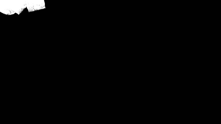 Shutterstock Video