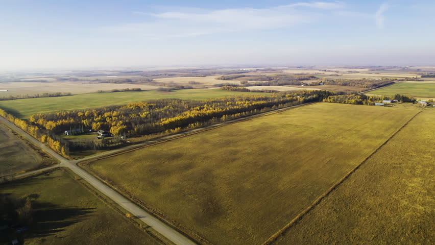 Vast Wheat Field In Red Deer County, Alberta, Canada - Aerial Drone Shot