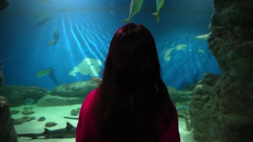 Woman observes sharks and fish through aquarium glass, surrounded by deep blue water and marine life. Concept of innovation and future vision.