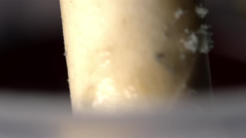 Explore the detailed texture of a moldy paper straw in this close-up shot.