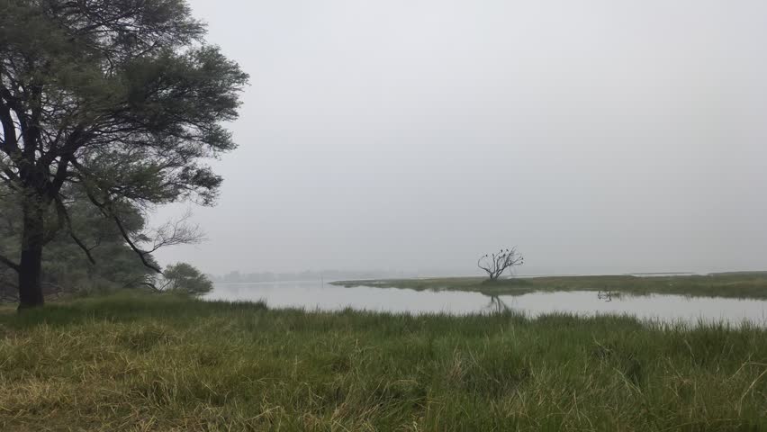 Foggy wetland with still waters, grassy banks, and distant trees on a calm morning.


