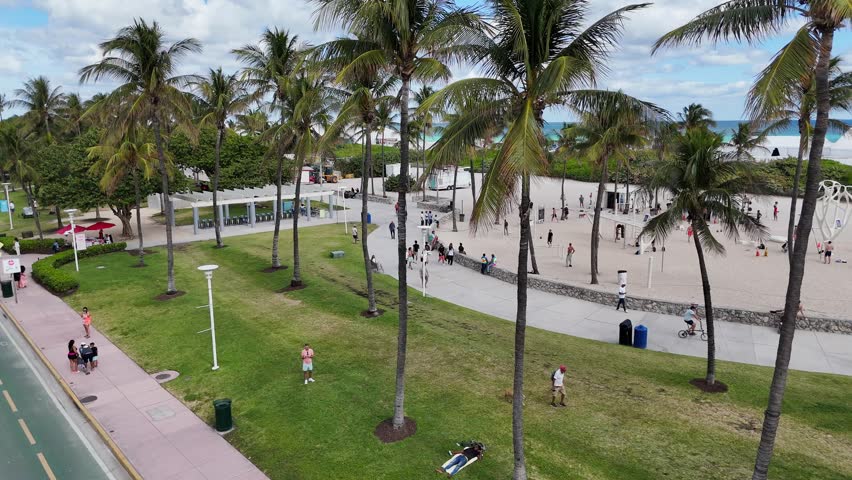 Beautiful view of the Miami waterfront, lined with tall palm trees