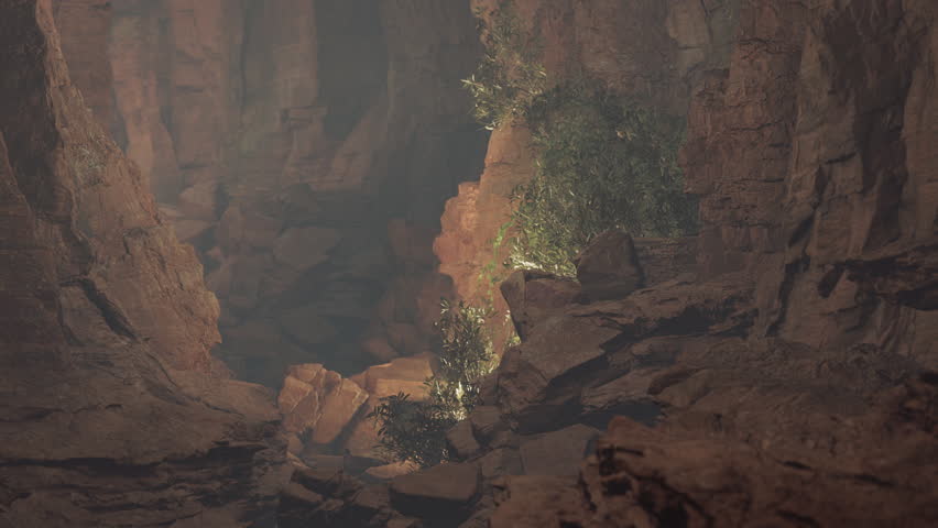 A cave filled with lots of rocks and trees