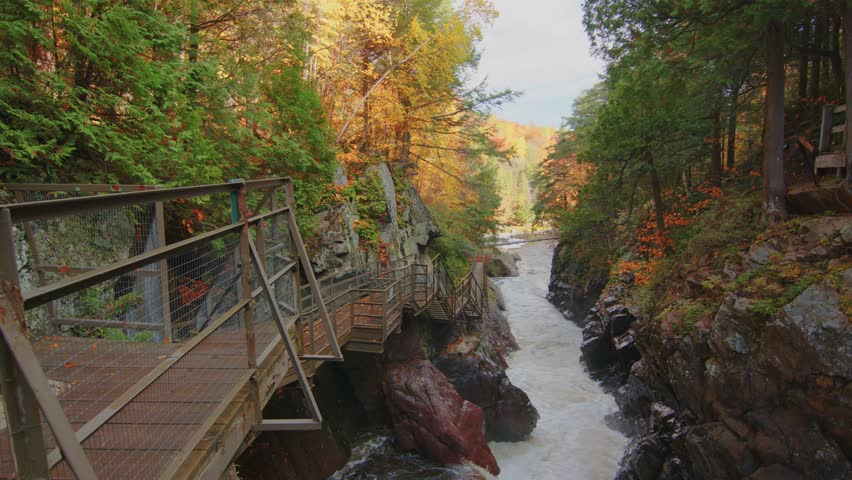 A 4K shot of tourists standing by a river creek in High Falls Gorge, surrounded by vibrant autumn trees. The peaceful scene showcases the fall foliage and the natural beauty of the Adirondacks.