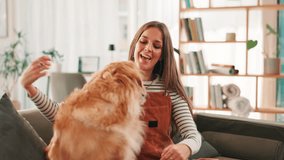 Hug, sofa and woman with dog in home for bonding, relaxing and playing together in living room. Pet owner, best friend and happy person with Golden Retriever on couch for affection, petting and love - Powered by Shutterstock - Get 15% off with code: PIKWIZARD15